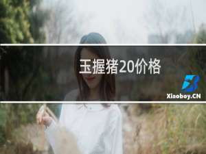 玉握猪 价格