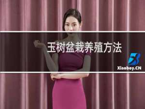 玉树盆栽养殖方法