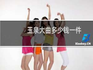 玉泉大曲多少钱一件
