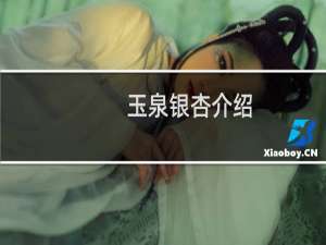 玉泉银杏介绍