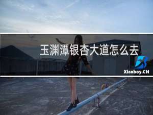 玉渊潭银杏大道怎么去