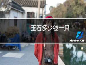 玉石多少钱一只