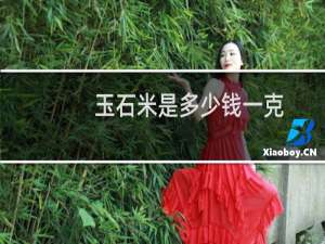 玉石米是多少钱一克