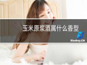 玉米原浆酒属什么香型