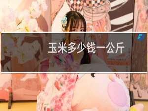 玉米多少钱一公斤