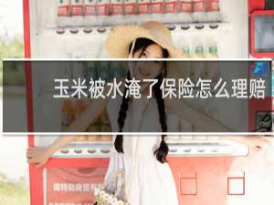 玉米被水淹了保险怎么理赔