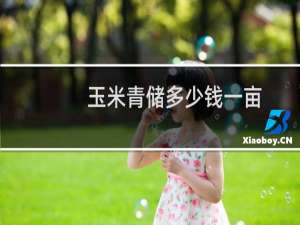 玉米青储多少钱一亩