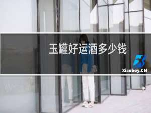 玉罐好运酒多少钱