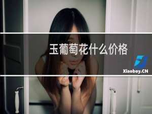 玉葡萄花什么价格