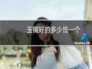 玉镯好的多少钱一个