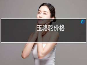 玉骆驼价格