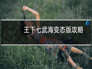 王下七武海变态版攻略