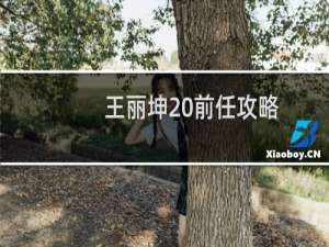王丽坤 前任攻略