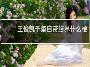 王俊凯千玺自带结界什么梗