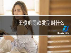 王俊凯同款发型叫什么