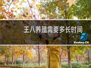 王八养殖需要多长时间