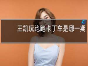 王凯玩跑跑卡丁车是哪一期