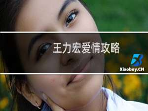 王力宏爱情攻略