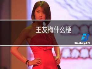 王友梅什么梗