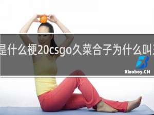 王喜顺是什么梗 csgo久菜合子为什么叫王喜顺什么梗