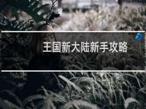 王国新大陆新手攻略