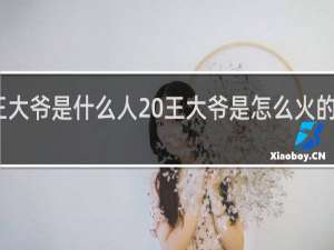 王大爷是什么人 王大爷是怎么火的什么梗