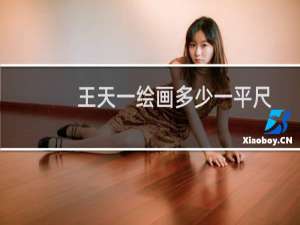 王天一绘画多少一平尺