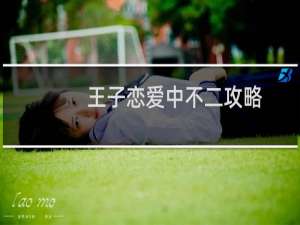 王子恋爱中不二攻略