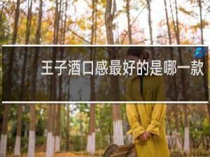 王子酒口感最好的是哪一款