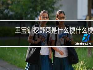 王宝钏挖野菜是什么梗什么梗