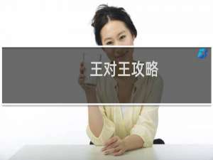 王对王攻略