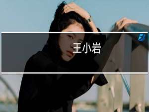王小岩(关于王小岩简述)