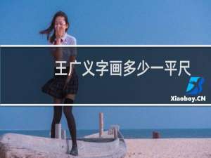 王广义字画多少一平尺