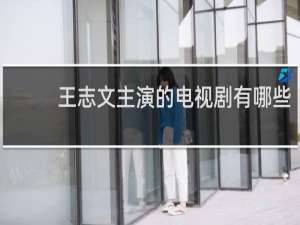 王志文主演的电视剧有哪些