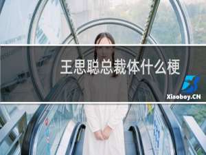 王思聪总裁体什么梗