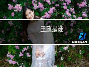 王政是谁