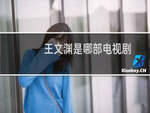 王文渊是哪部电视剧