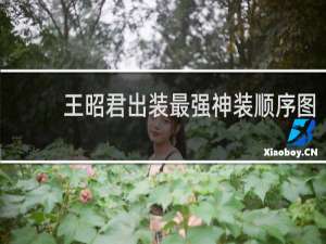 王昭君出装最强神装顺序图