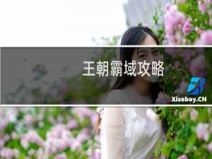 王朝霸域攻略