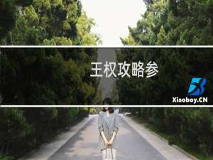 王权攻略参