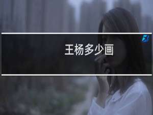 王杨多少画