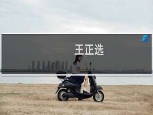 王正选(关于王正选简述)