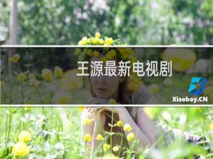 王源最新电视剧
