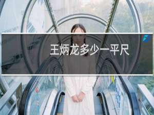 王炳龙多少一平尺