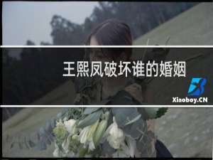 王熙凤破坏谁的婚姻