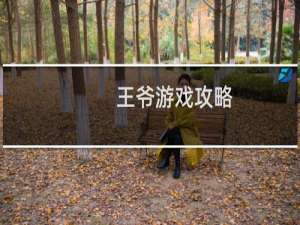 王爷游戏攻略