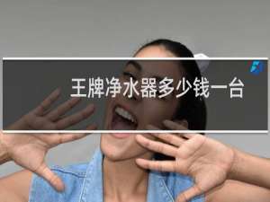 王牌净水器多少钱一台