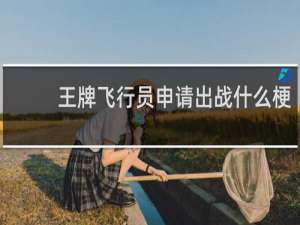 王牌飞行员申请出战什么梗？王牌飞行员申请出战是什么意思什么梗