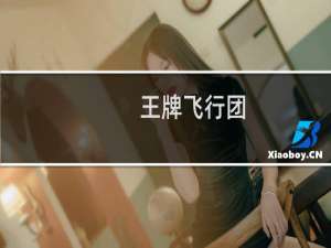 【王牌飞行团（手游电脑版）】免费王牌飞行团（手游电脑版）软件下载