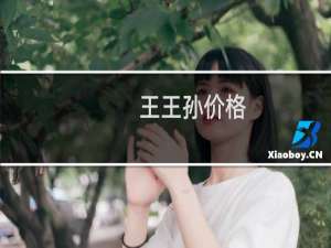 王王孙价格